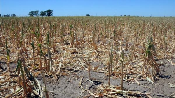 PublicaciÃ³n pedida por FederaciÃ³n Agraria Chacabuco: "Nada que festejar"