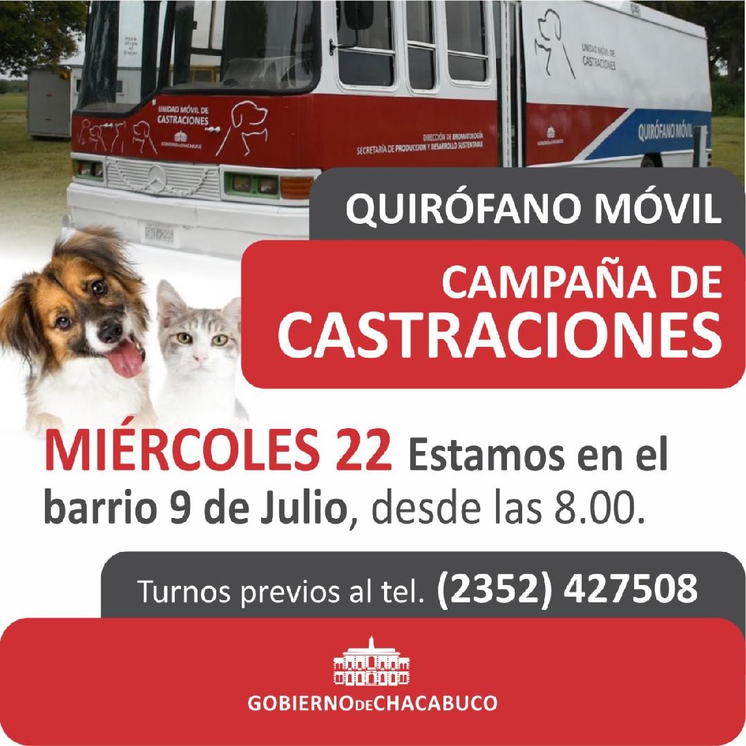 BromatologÃ­a: campaÃ±a de castraciÃ³n