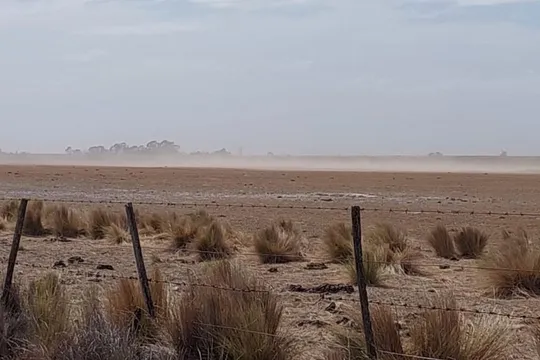 Hacia fin de diciembre se sabrÃ¡ si Chacabuco es declarado en Emergencia Agropecuaria