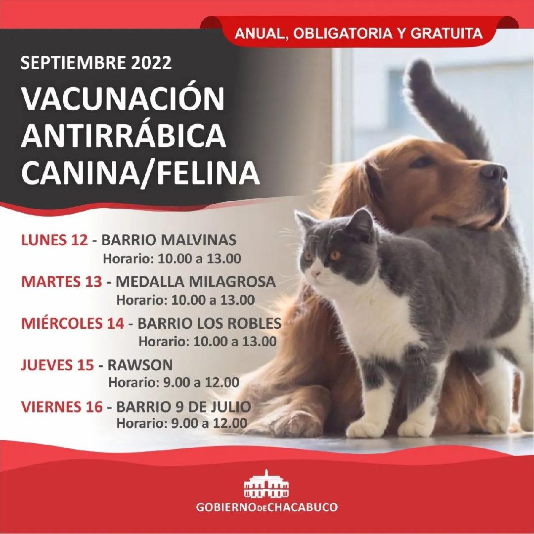 ContinÃºa la vacunaciÃ³n antirrÃ¡bica para caninos y felinos